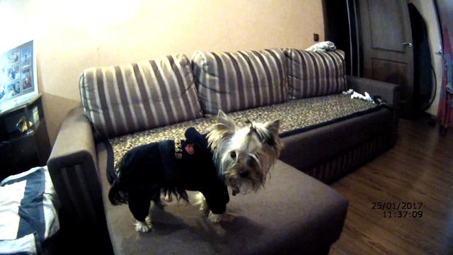 Дэмик ,обновка. )) смотреть онлайн