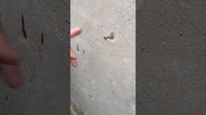 Дюбель-гвоздь быстрый монтаж. Принцип работы.