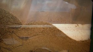 ЛУЧШАЯ МУРАВЬИНАЯ ФЕРМА В 2022 ГОДУ