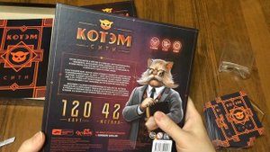 Распаковка настольной игры Котэм Сити (Catham City)