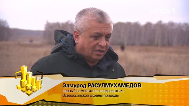 В Челябинской области появился первый карбоновый полигон смотреть онлайн