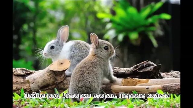 Зайцеград. История вторая. Первые колеса.  (сказки для самых маленьких)