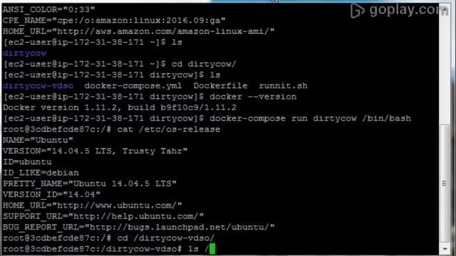 Dirty COW Docker Escape смотреть онлайн