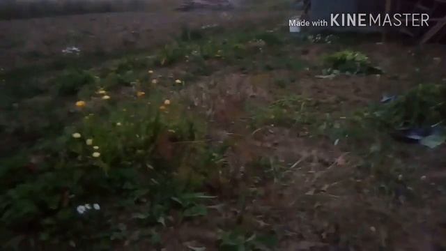 Поставили окна.Строим перегородку в бане.Огород в октябре.Баня из арболита. смотреть онлайн