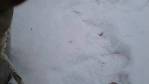 про колодец с насосом на зиму