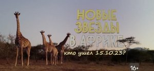 "Новые звезды в Африке 2": кто ушел и в каком испытании выиграл (5 выпуск от 15.10.23)