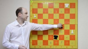 Урок по шахматам  Красивая шахматная задача