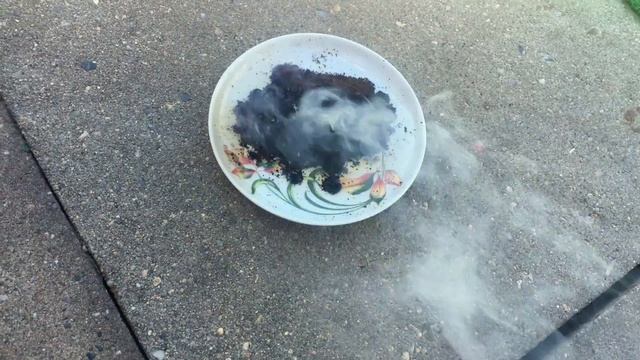 Как быстро избавиться от мух, во время готовки?Кофе! смотреть онлайн