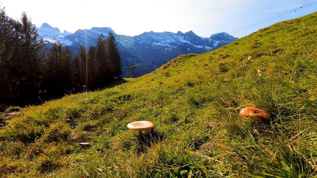 Соседка очень хотела т*****я и заманила красвчика.... Что произошло... Реальные истории... смотреть онлайн