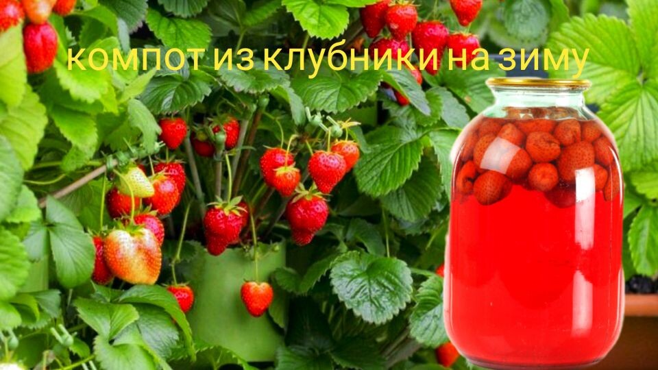 КОМПОТ из КЛУБНИКИ ??? на зиму. ПРОСТОЙ и КЛАССИЧЕСКИЙ рецепт. ???КЛУБНИЧНЫЙ КОМПОТ.