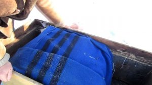 КАК ПОДКОРМИТЬ ПЧЁЛ ДО МАССОВОГО ОБЛЁТА ПЧЁЛ