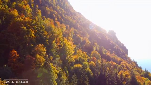 Успокаивающая музыка для нервов ? лечебная музыка для сердца, релакс, музыка для души смотреть онлайн