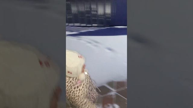 Зимние забавы 2 #МаленькаяНиколь смотреть онлайн