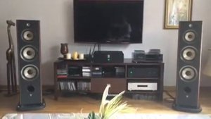 Focal aria 948?