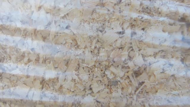 Стружка в брикетах и опилки в мешках в Москве и области с доставкой. Для подстилки животным и т.д. смотреть онлайн