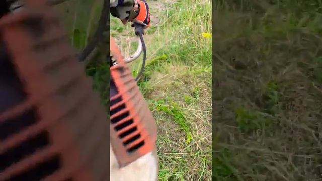 Grass cutting with Stihl FS 450 trimmer | Покос травы триммером Штиль ФС 450 ?