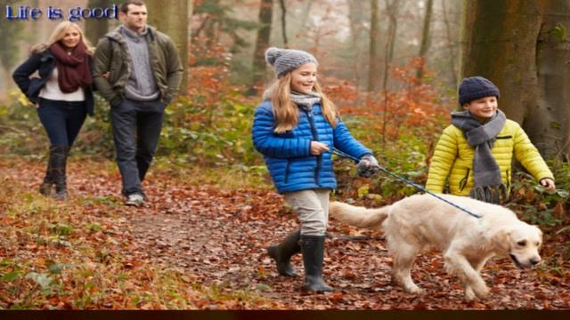 Как нам помогают домашние животные, от каких болезней лечат ? смотреть онлайн