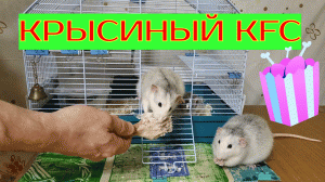 КРЫСИНЫЙ KFC ПО ДОМАШНЕМУ