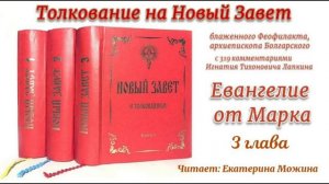 Толкование блаженного Феофилакта архиепископа Болгарского на Евангелие от Марка. 3 глава.