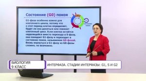 Биология. 9 класс. Интерфаза. Стадии интерфазы: G1, S и G2 /19.01.2021/