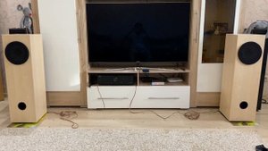 Акустика на Visaton bg20/8
