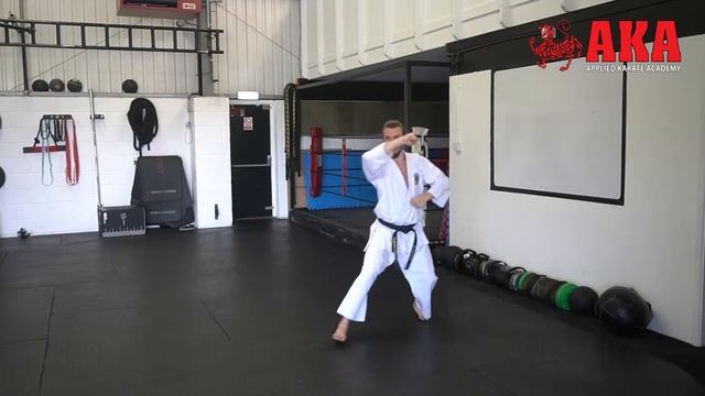 Heian Nidan Shotokan Kata easy to follow instructional video смотреть онлайн