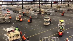 VLOG | Экскурсия на цветочный аукцион FloraHolland в Голландии (Алсмер/Aalsmeer) | MFS TV