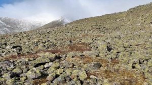 Саранпауль..Путь к вершине горы Неройка