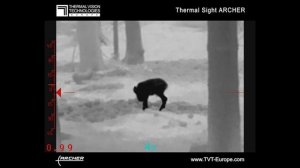 Thermal Sight Archer