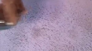 Силовые линии магнитного поля.