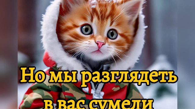 Смешное Поздравление с 23 февраля!😍🐱🤩