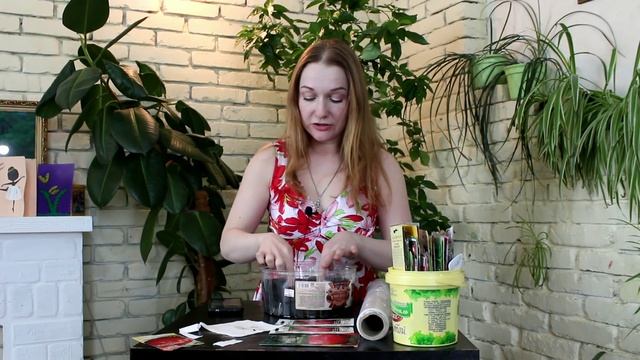 Посадка томата "Большая мамочка"