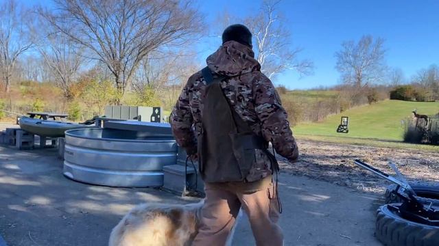 Australian Shepherd Training | The Square Peg Round Hole Problem