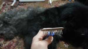 ЧУДО-РАСЧЁСКА ДЛЯ #ЧАУ-ЧАУ И не только