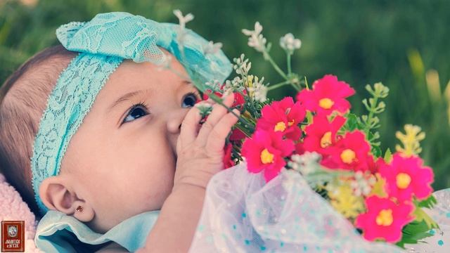 Молитвы о детях Акафист свт Митрофану Воронежскому Кондак и икос смотреть онлайн