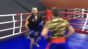 Бокс тренировка лапы