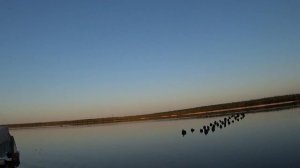 turpan duck hunting охота на турпана саха уола:;