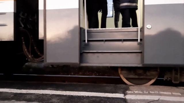 ЭД4М-0447 фирменный экспресс Рязань-1 Москва Казанская. Прибывает на станцию Рыбное.