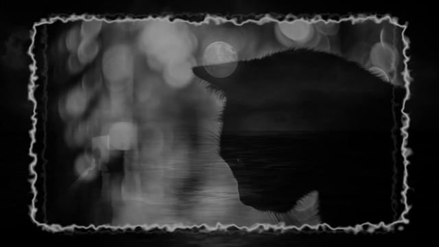 "История о Кошке и Человеке" смотреть онлайн