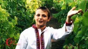 Dmitriy Jelezoglo - Kiriet kızı