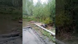 Nissan Terrano. Прохождение грязи. Месим грязь.