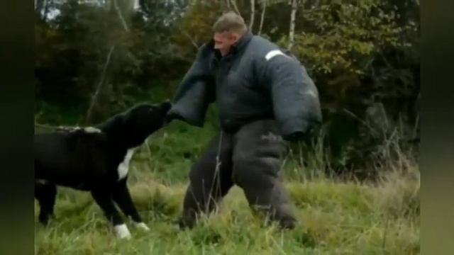 Алабай|Клип|Не бойся смотреть смерти в глаза смотреть онлайн