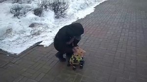 Дрессировка собак -норвич терьер Тео