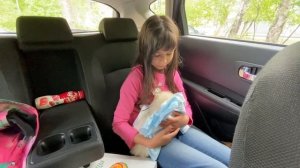 Померанский шпиц . Первый день дома.