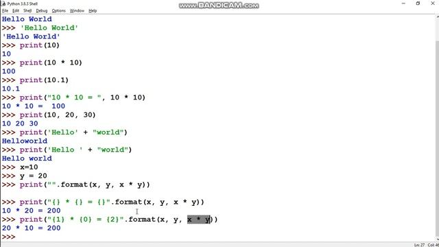 Python Tutorial for Beginners in Hindi | How to use print() and input() Function in Python