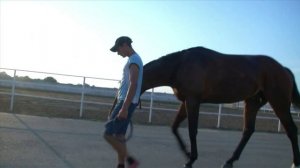 Конный мир  Эхо конного мира  Эфир 11 07 2019