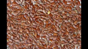 PLANTAS PARA LA SUPERVIVIENCIA Gordolobo, Pino, Bellota, Torvisco, Lino, Saponaria, Yesquero, Fruto