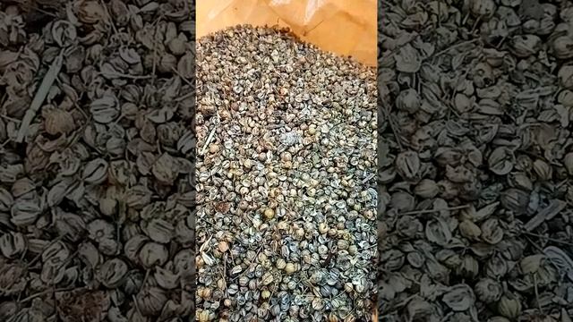 Отходы... Лен, ячмень и трава смотреть онлайн