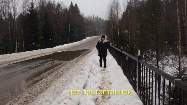 Линдуловская роща | Путешествие на выходные, Санкт-Петербург 2021