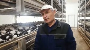 Еще один отзыв работника Meros Group об условиях работы на грибной ферме